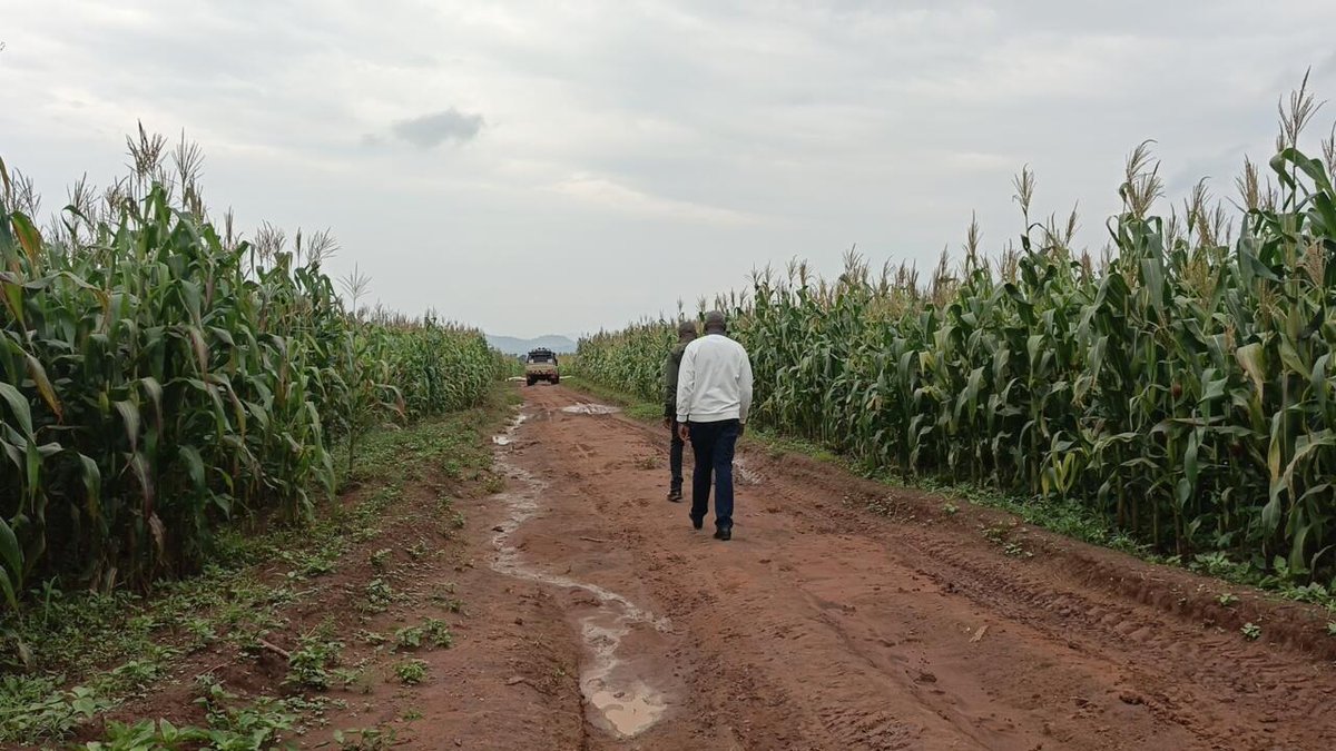 RFI Afrique tweet media