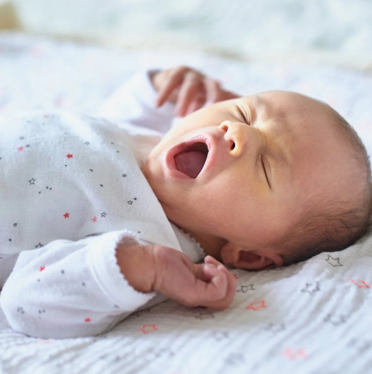 El Arte De La Vida tweet media