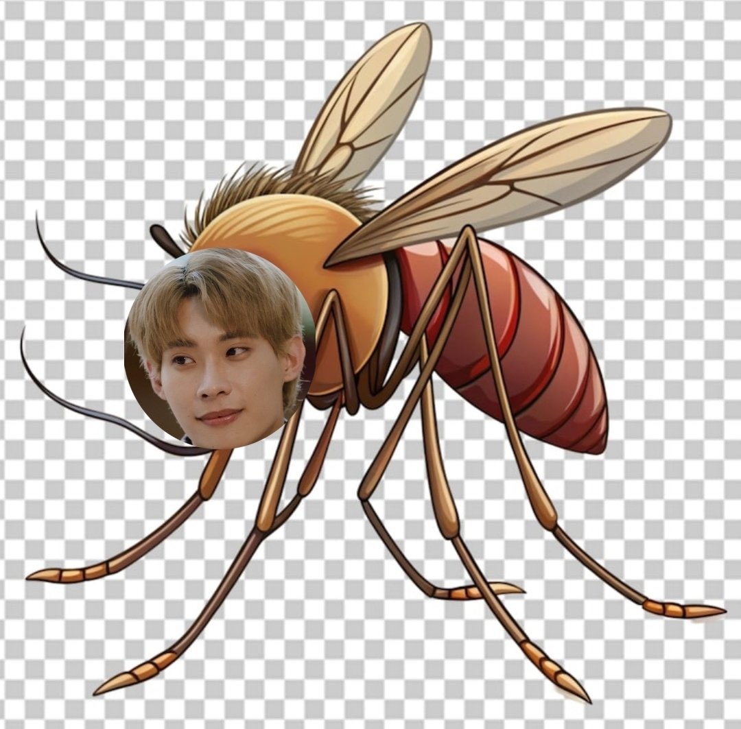 👽✧˖°. noel ₊˚⊹♡🪐 tweet media