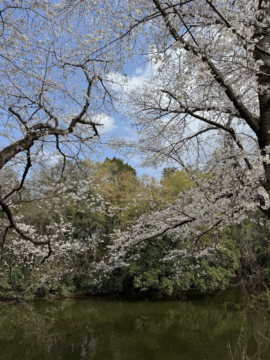 茨城日野自動車株式会社【公式】 tweet media