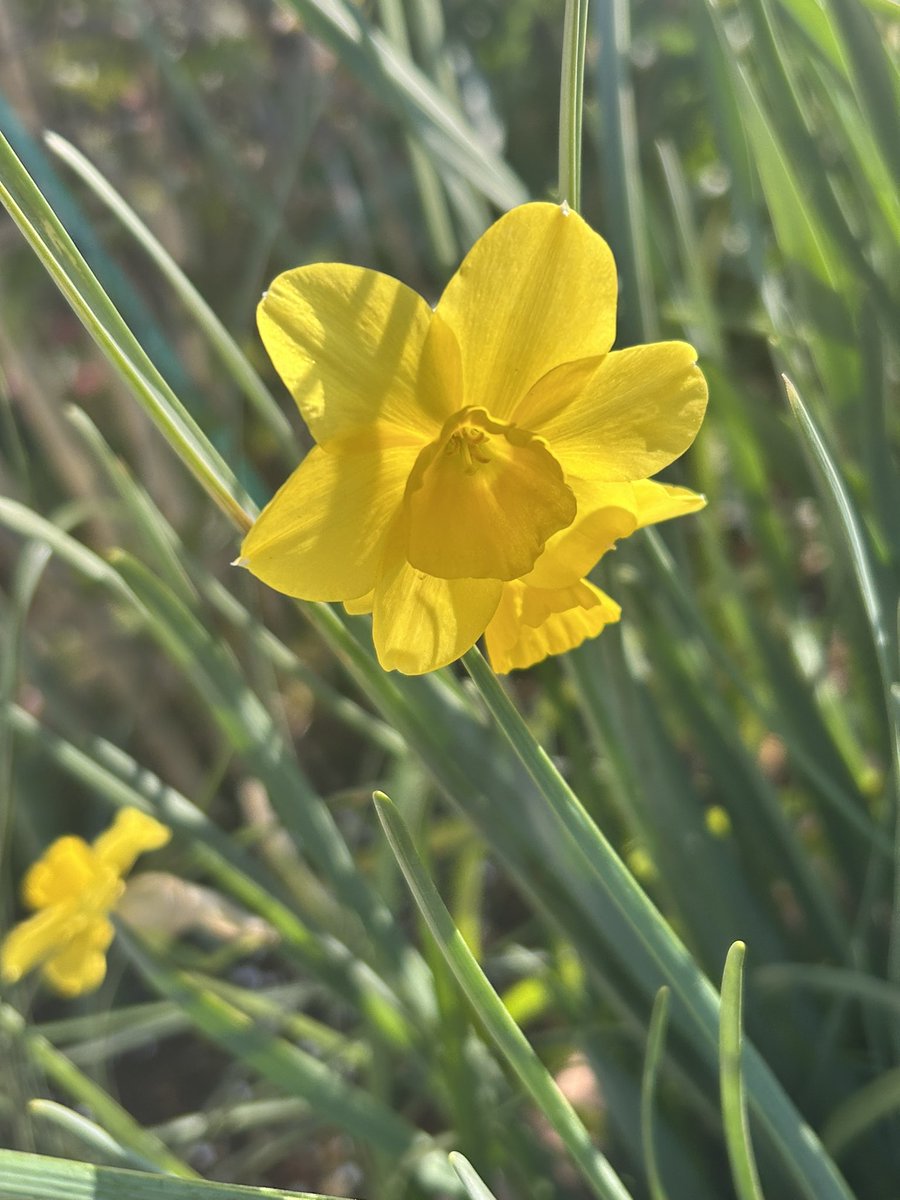 🎻🎸吉🚲🌷🥜 tweet media