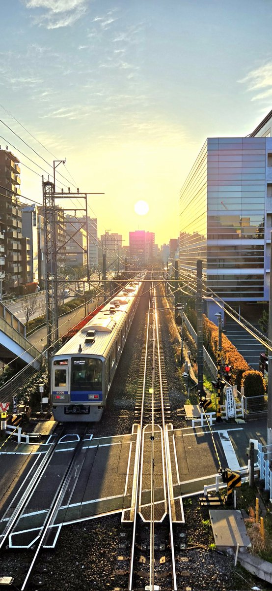 梅 コブ tweet media