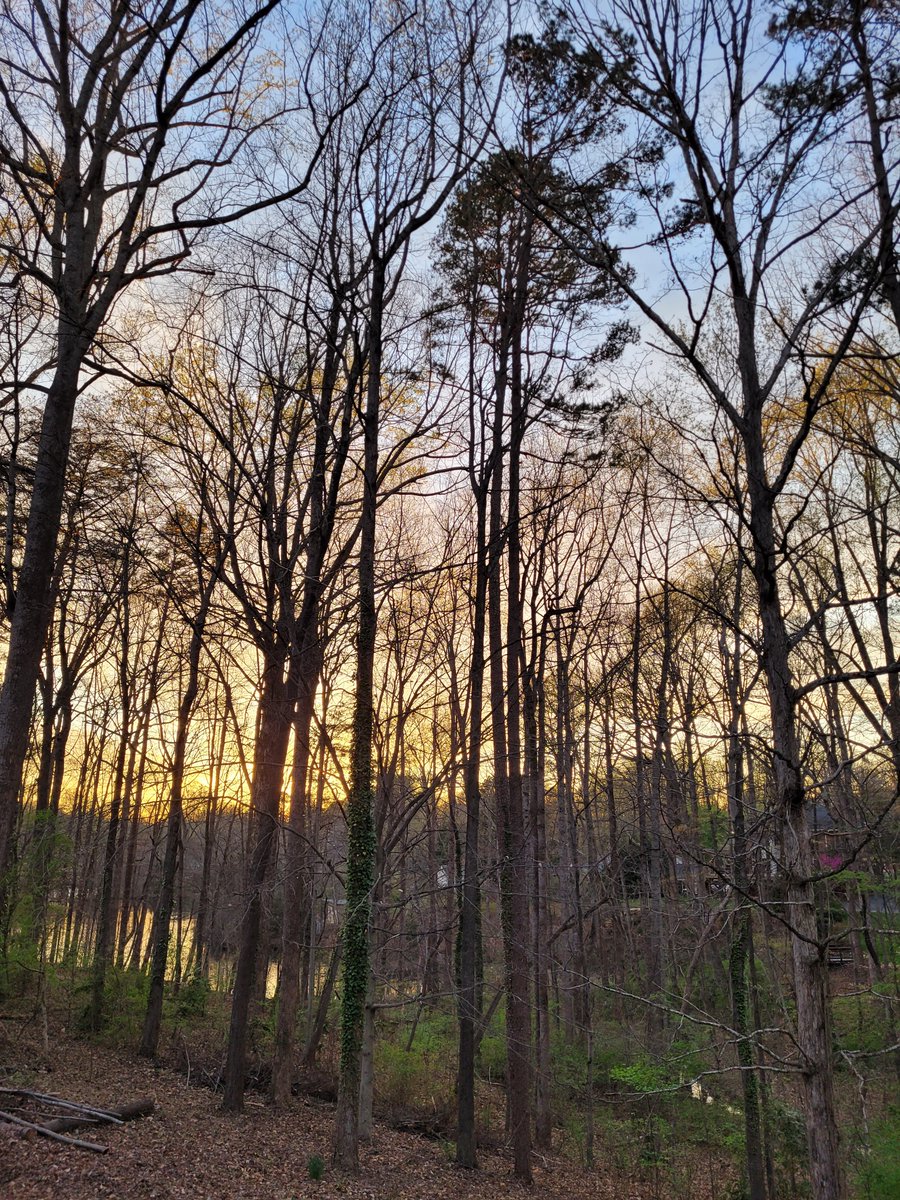 ☕Nick Kurtz stan 🎩🏡🅿️ tweet media