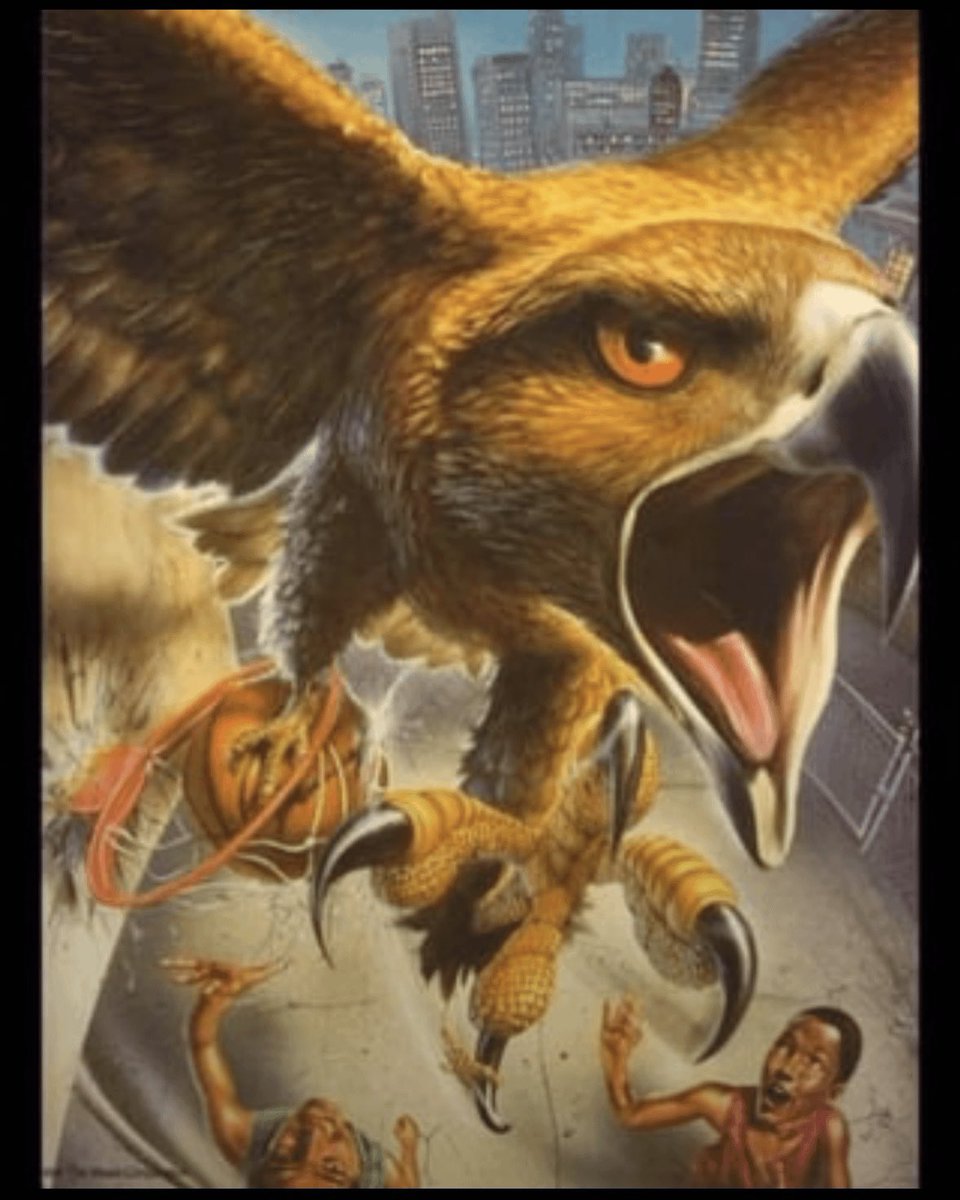 SwagKirb tweet media