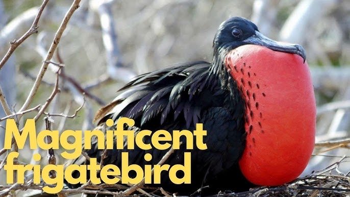 James R Us tweet media