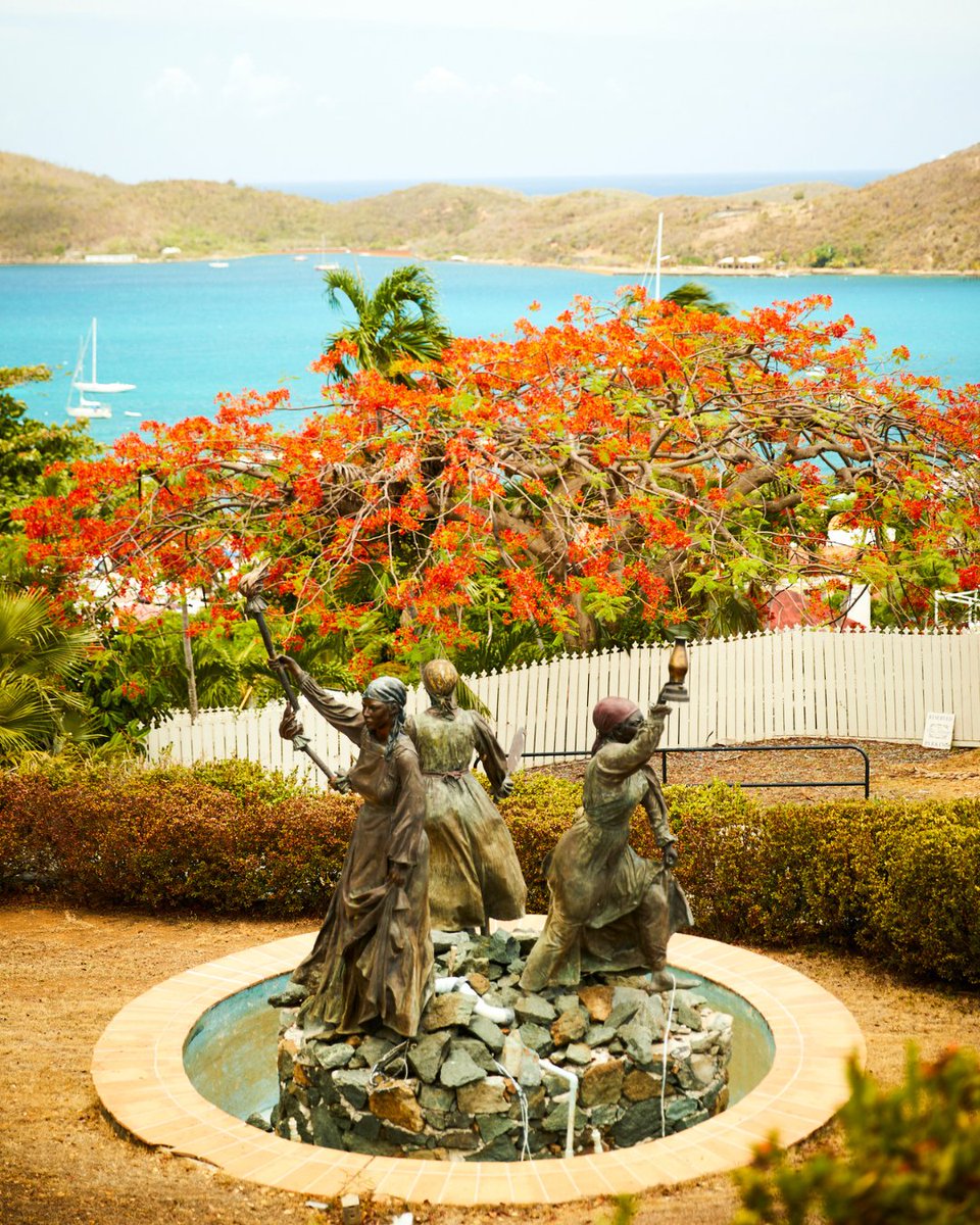 Visit USVI – U.S. Virgin Islands Dept. of Tourism tweet media