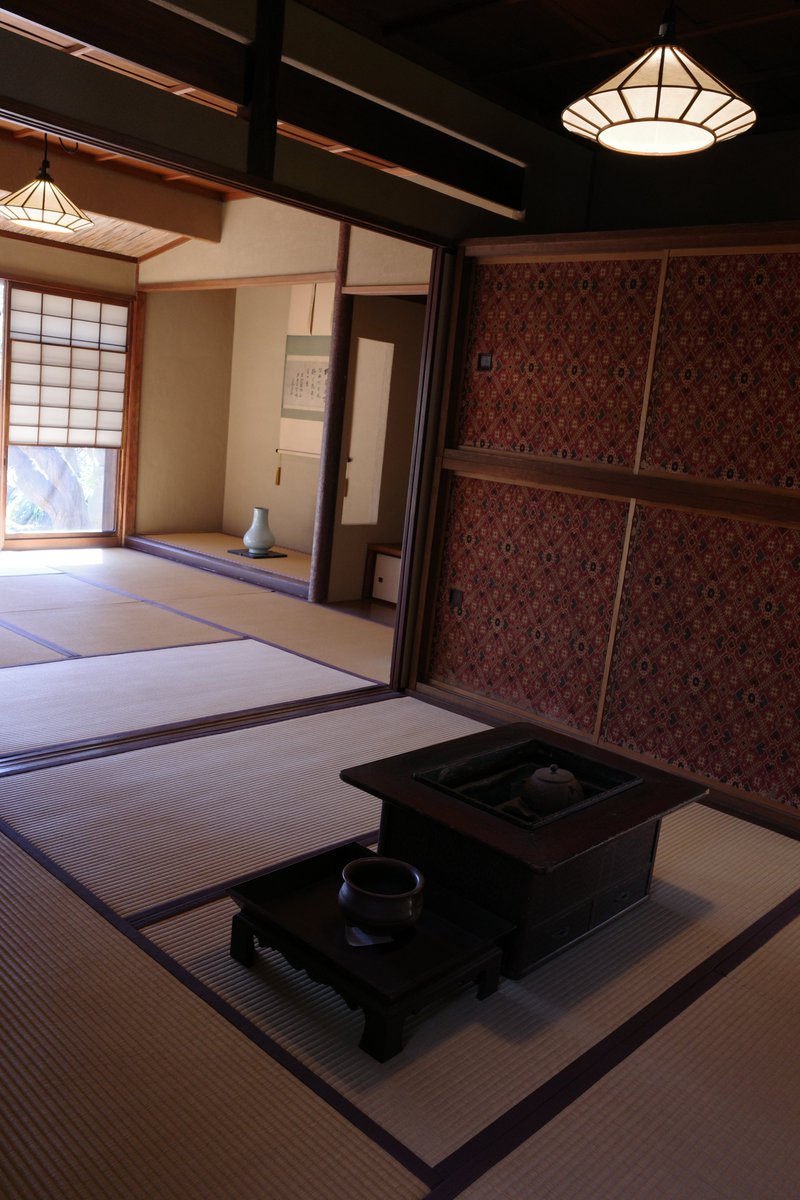 PAPUA（スナップ写真） tweet media