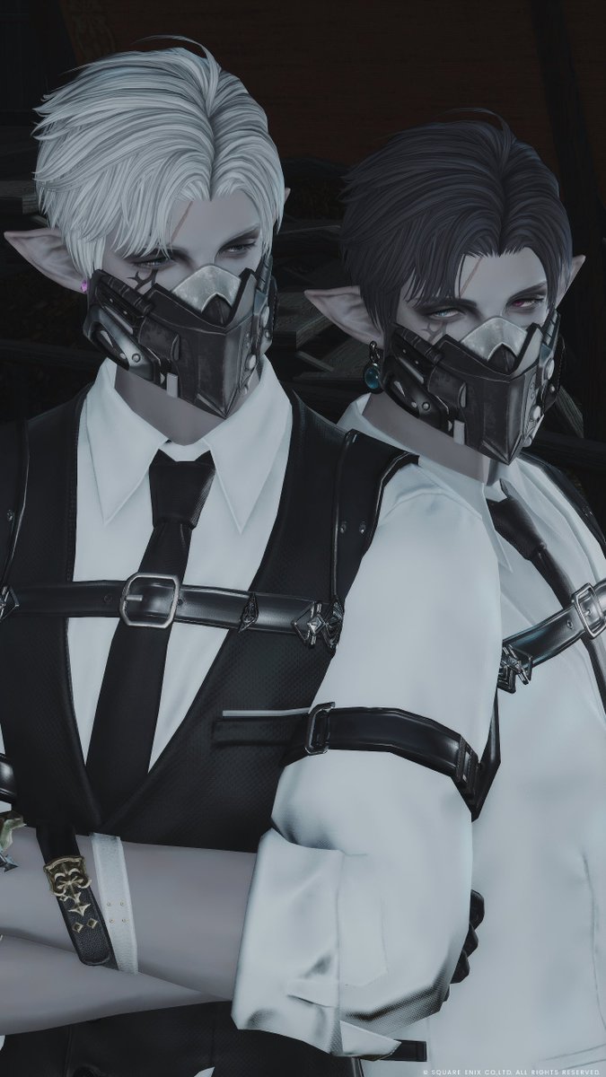 アイラ ☽ tweet media