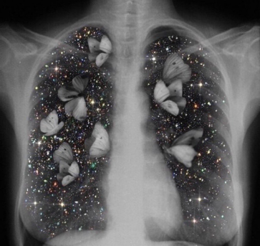 نبض قللبي tweet media