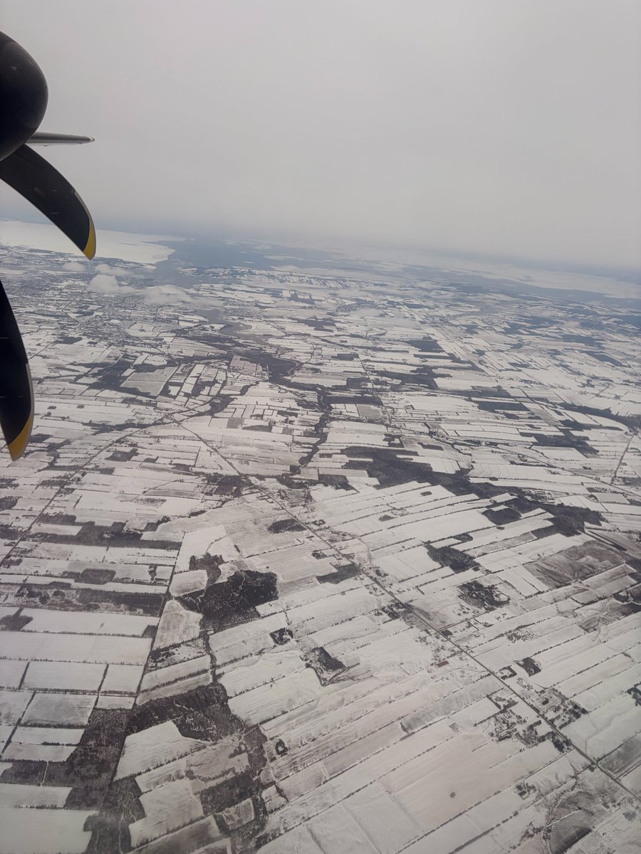 Agproudmary's tweet image. Crop update #Plant2026
#PEI