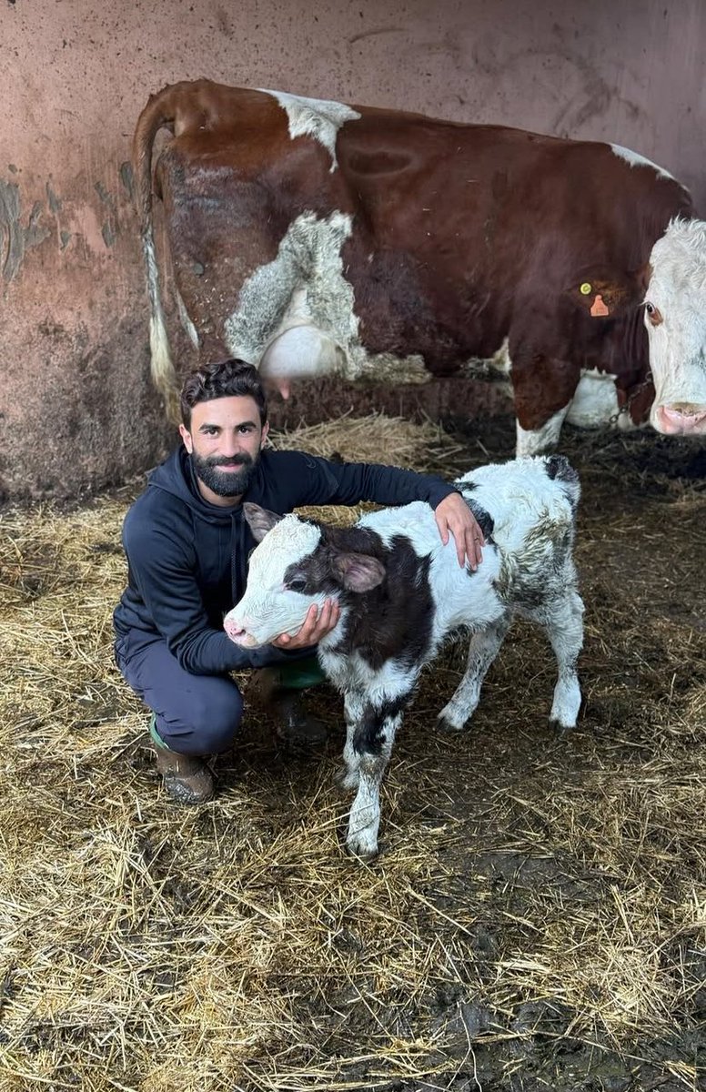 أبو فهد tweet media