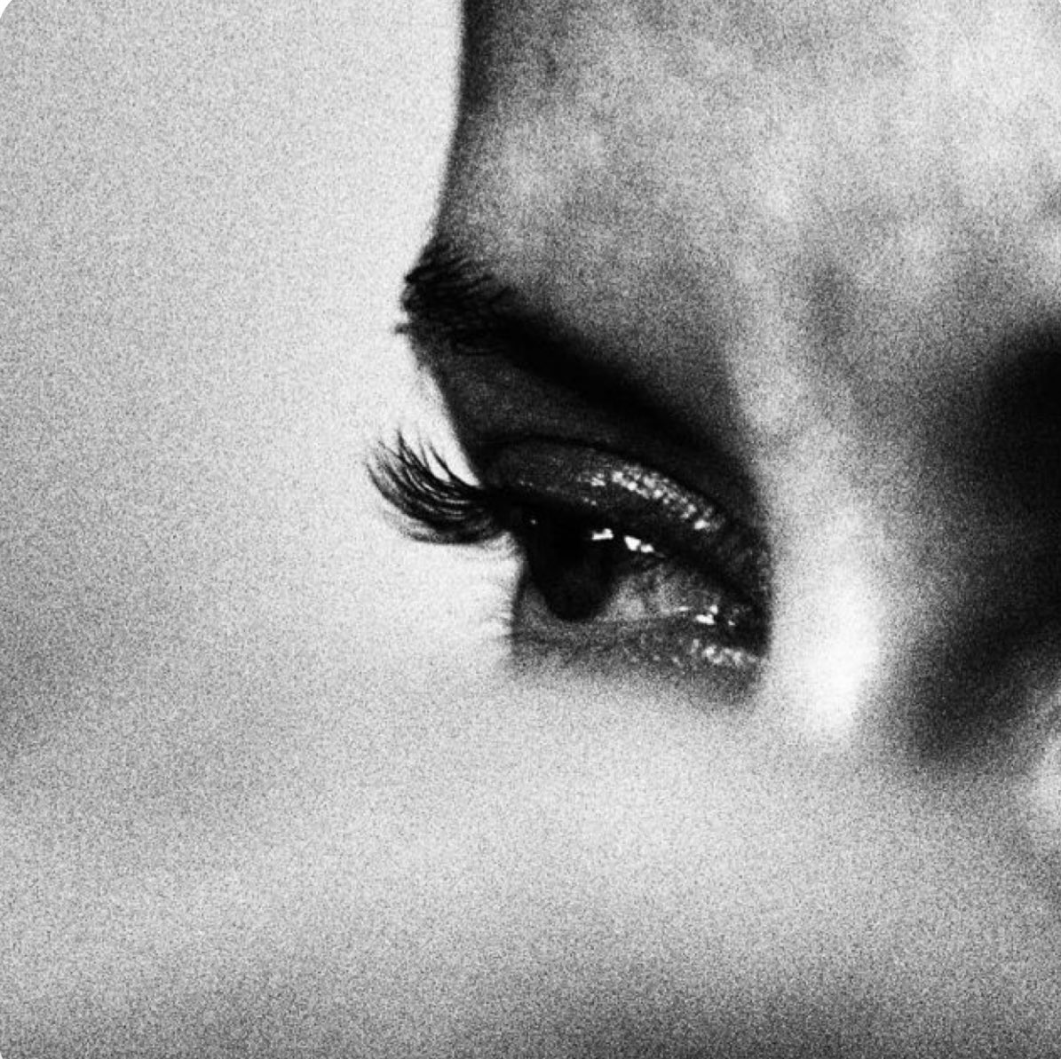 Tiziana Caronte tweet media