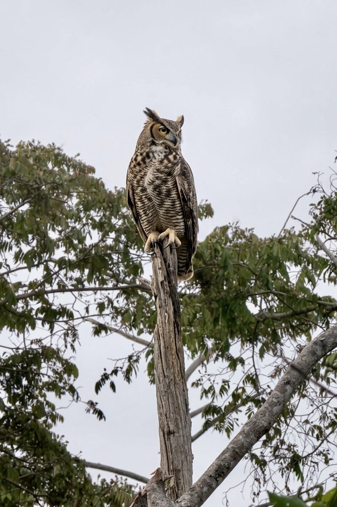 Romel  Romero ™ tweet media