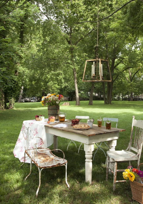 Kelebek T🦋 tweet media