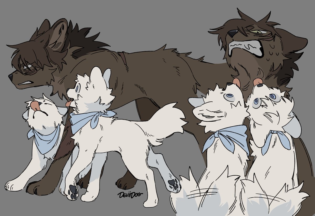 Deviidog tweet media