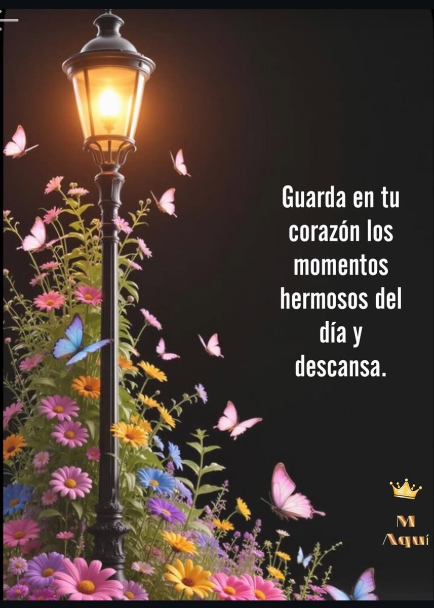 Ibette Ram tweet media