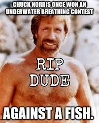 Rats Rant tweet media