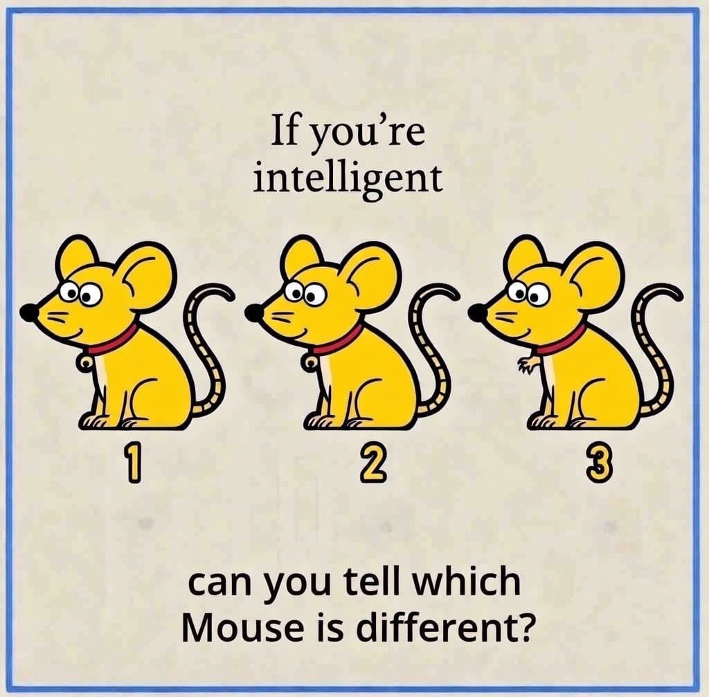 Cairo❤️ tweet media