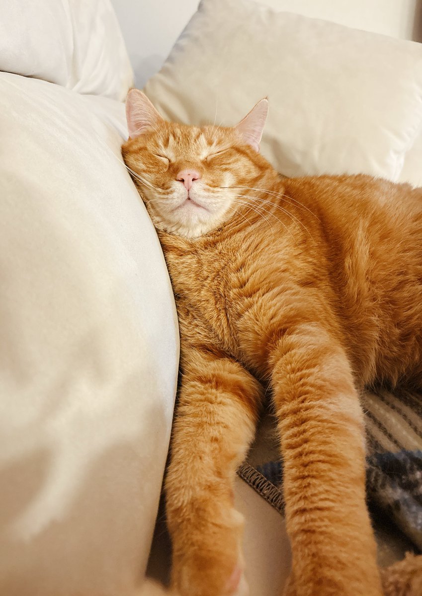 おはようございます。寝ると中華街のお面みたいになる巨漢です😽昨日のレッスンでは卒業式の中継を観させていただきありがとうございました🙏どこにいるか全然わかんなかったけどwとりあえず卒業で学費も仕送りも終わり！かな？？？あとは自力でがんばってー😊