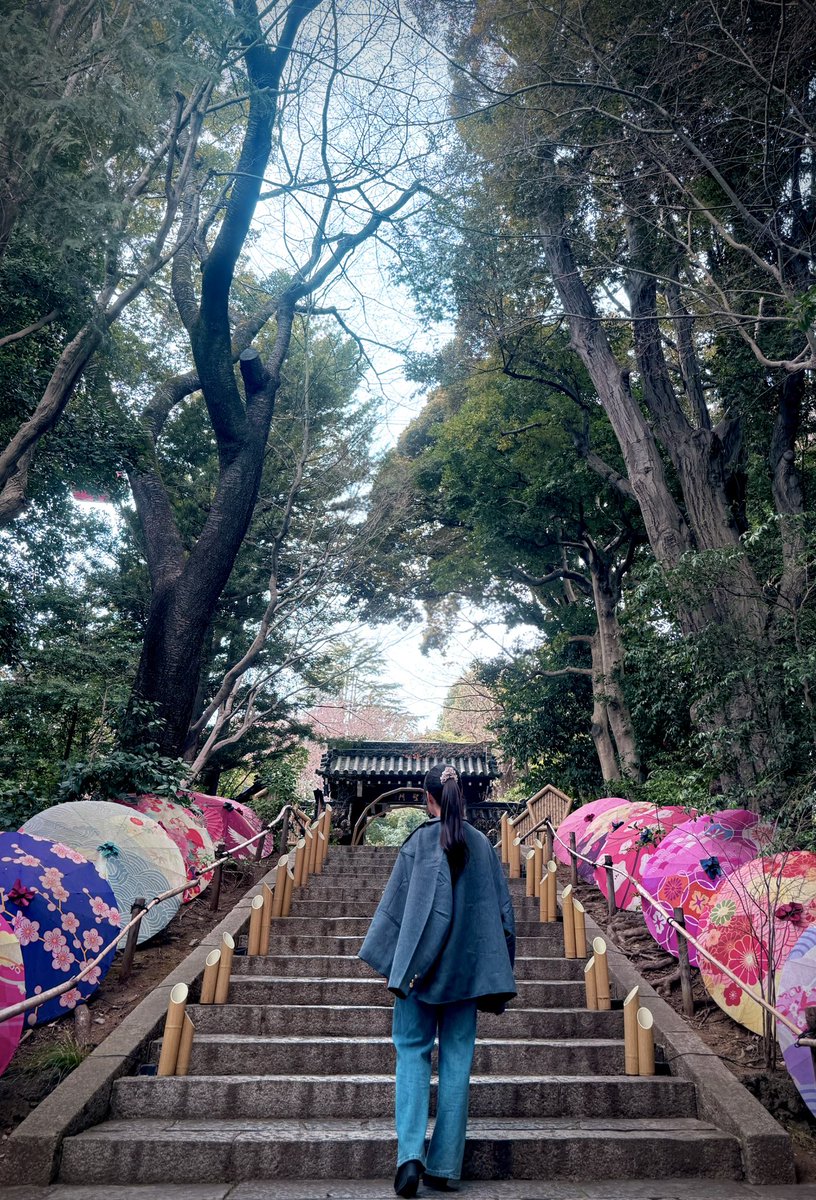 旭佑華 tweet media