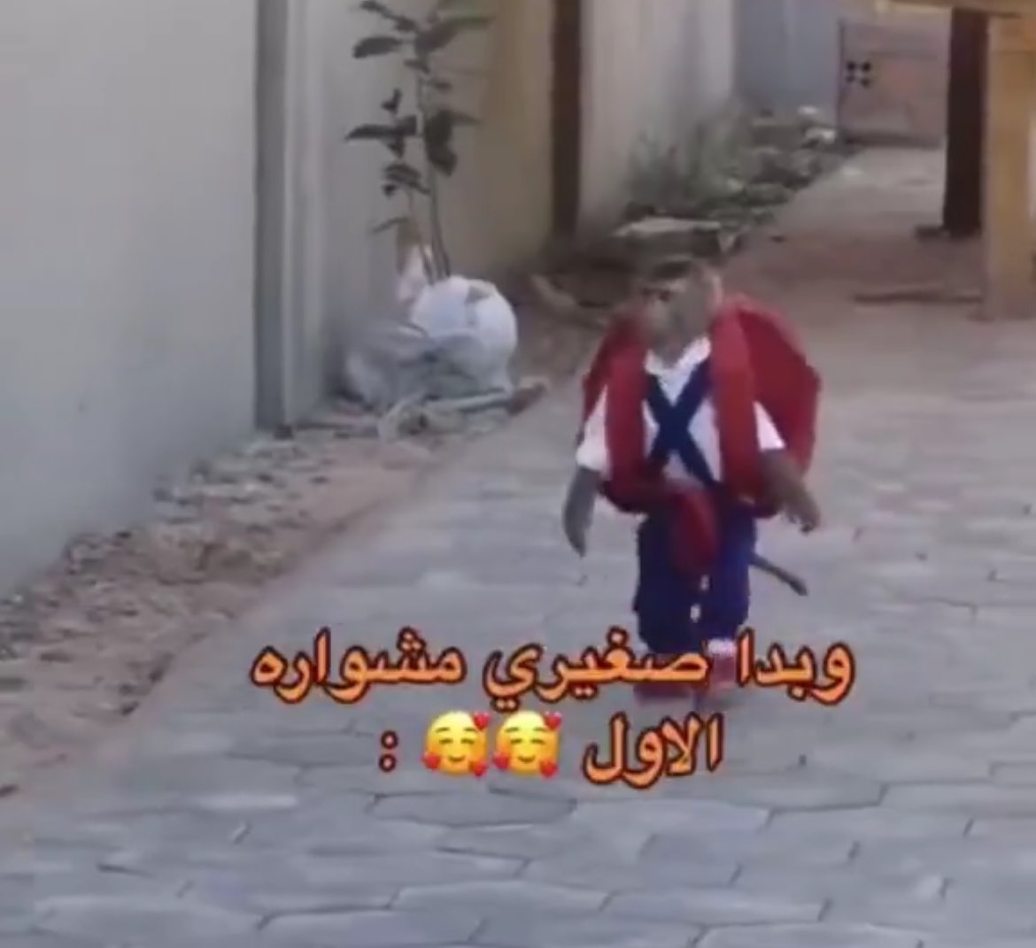 كاثرين tweet media