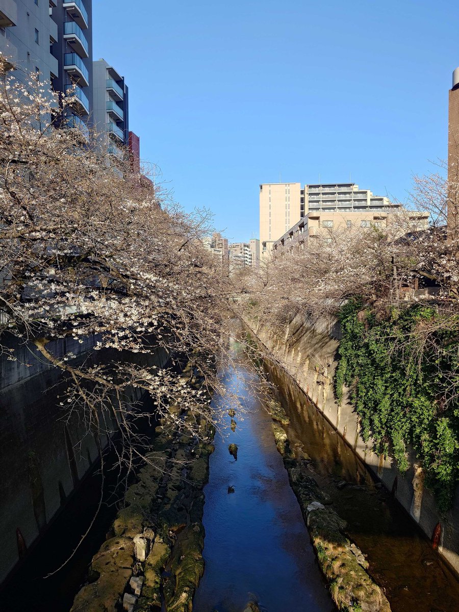 25th【スタジオイブキ】モーションキャプチャースタジオ tweet media