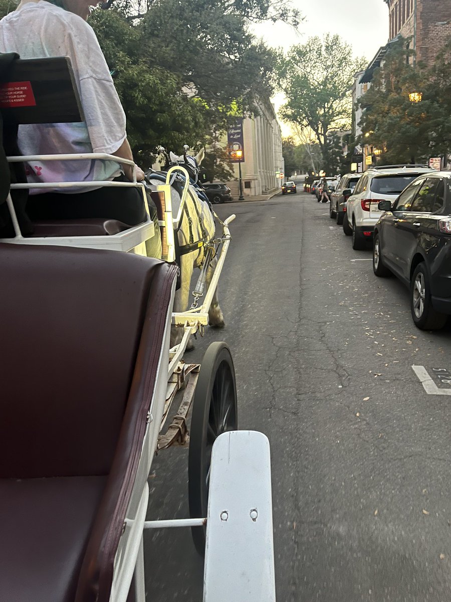 Mark Scott tweet media