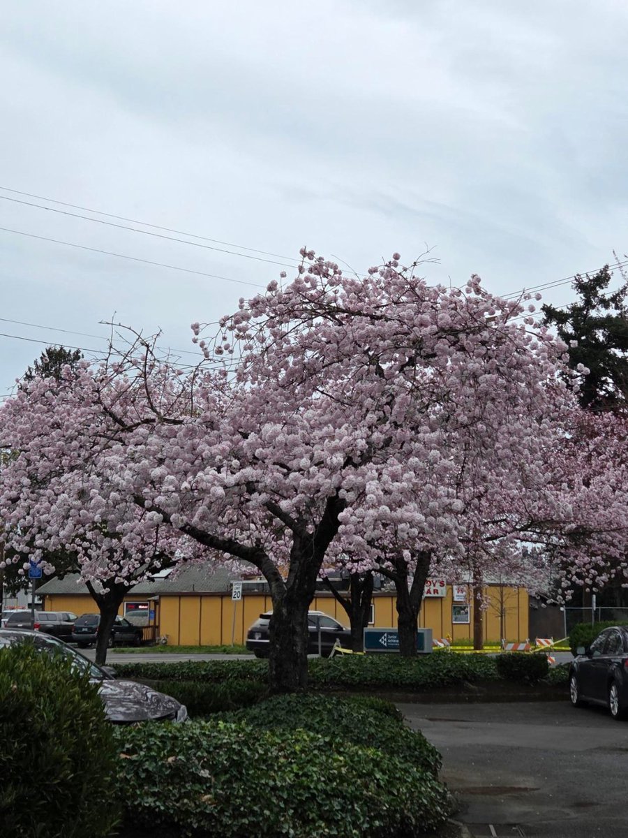 Xenium HR tweet media