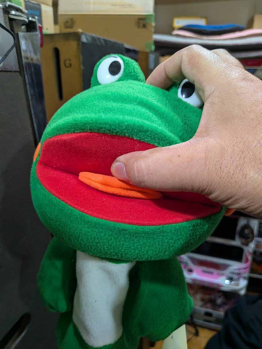 nao(イカの人) tweet media