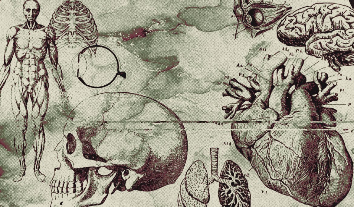 ‍‍‍‍‍‍‍‍ ‍‍‍‍‍‍‍‍𝓝𝑨𝑽𝒀𝑨 𝐒𝐇𝐀𝐑𝐌𝐀 𖥸 tweet media