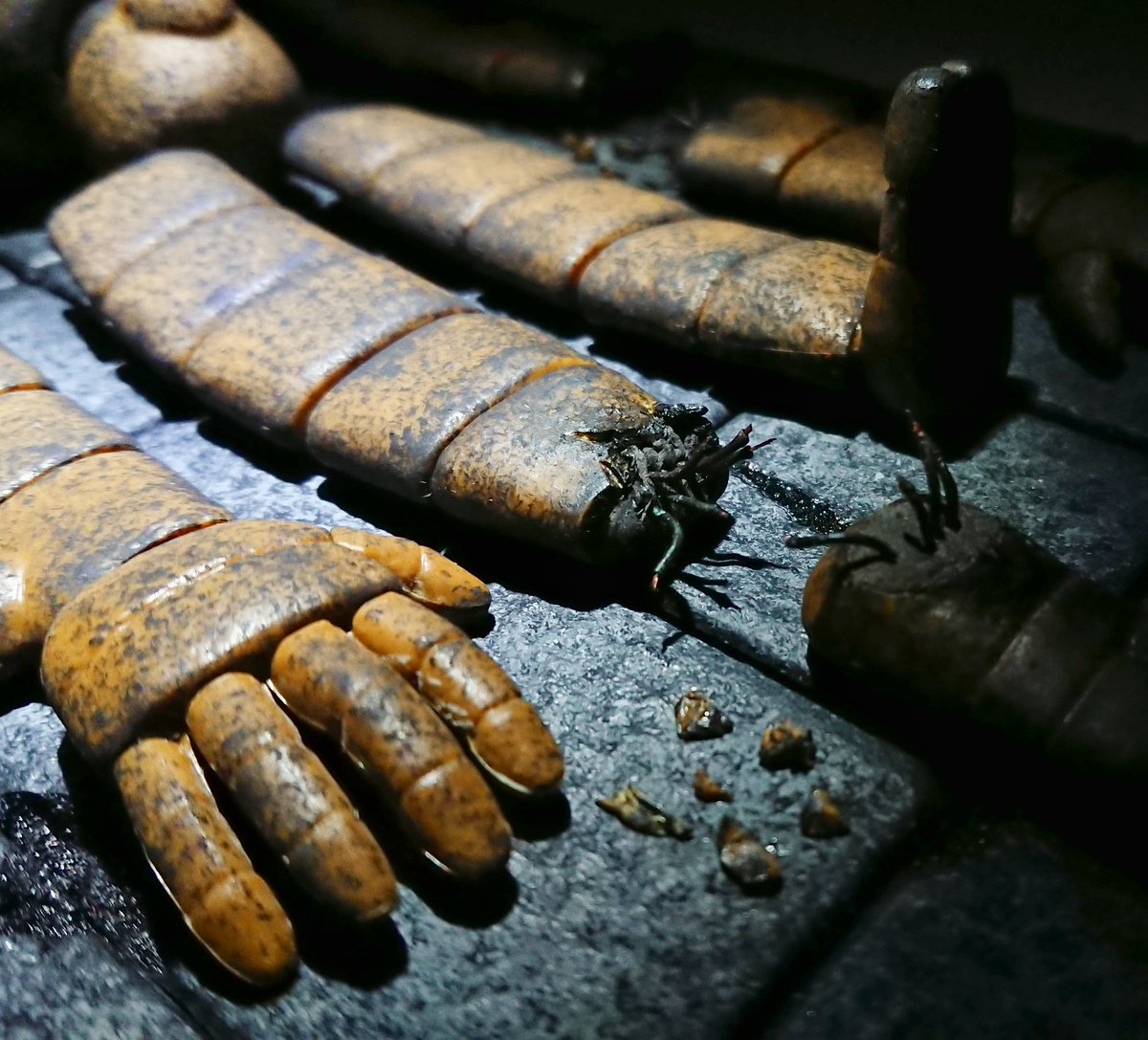 nnkkgunpla's tweet image. 「この体が金属なのか粘土なのか、それすら我々の科学力では分からないのだ」

#ラピュタ #ジブリ #ジオラマ #プラモデル