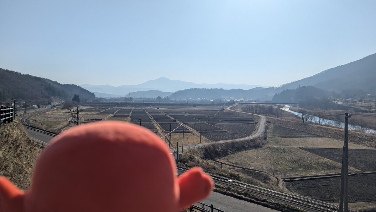 イカイもん【公式】 tweet media