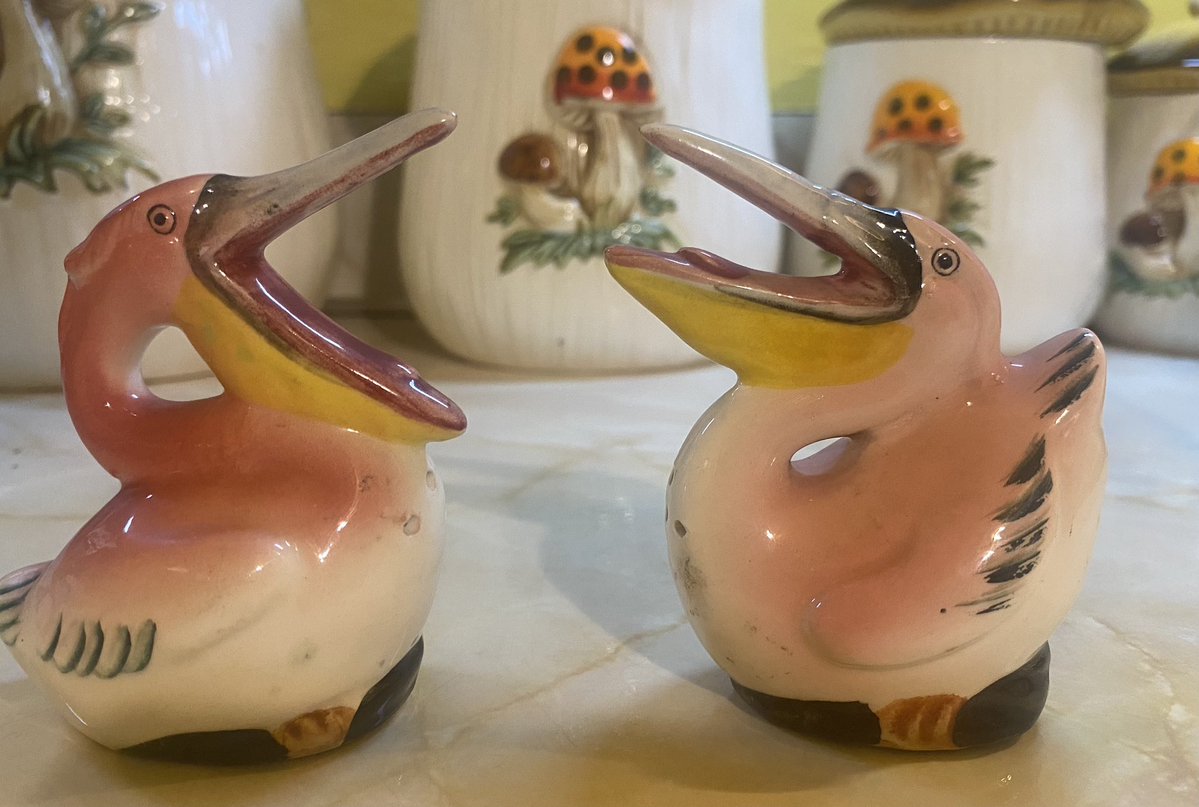 StreetLevelGardener tweet media