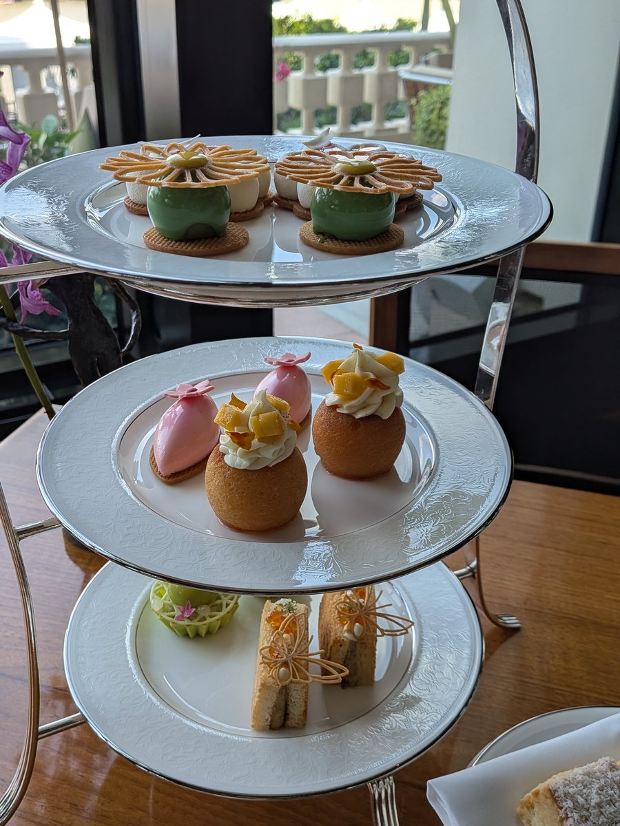 Tsuchinoko Real?! 🐍🪶 tweet media