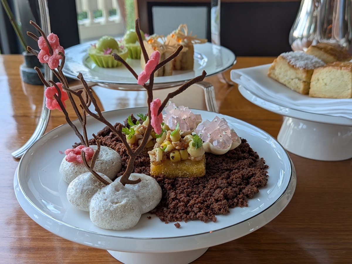 Tsuchinoko Real?! 🐍🪶 tweet media