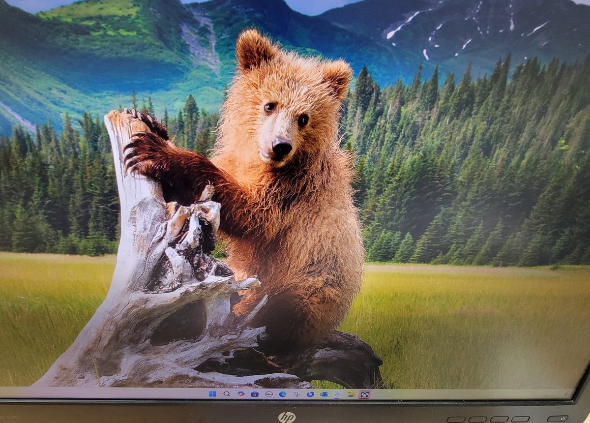 エクステリア設計施工会社チェリーガーデン🌴広報担当Saのつぶやき😋 tweet media