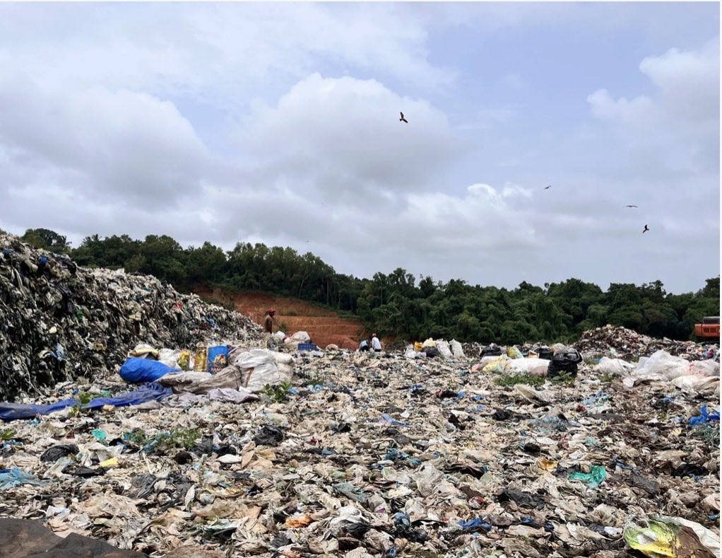 Jo Trader tweet media