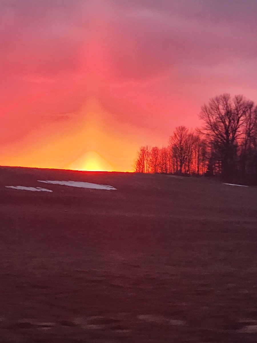 🌱420Revelations ☯️ 💚 tweet media