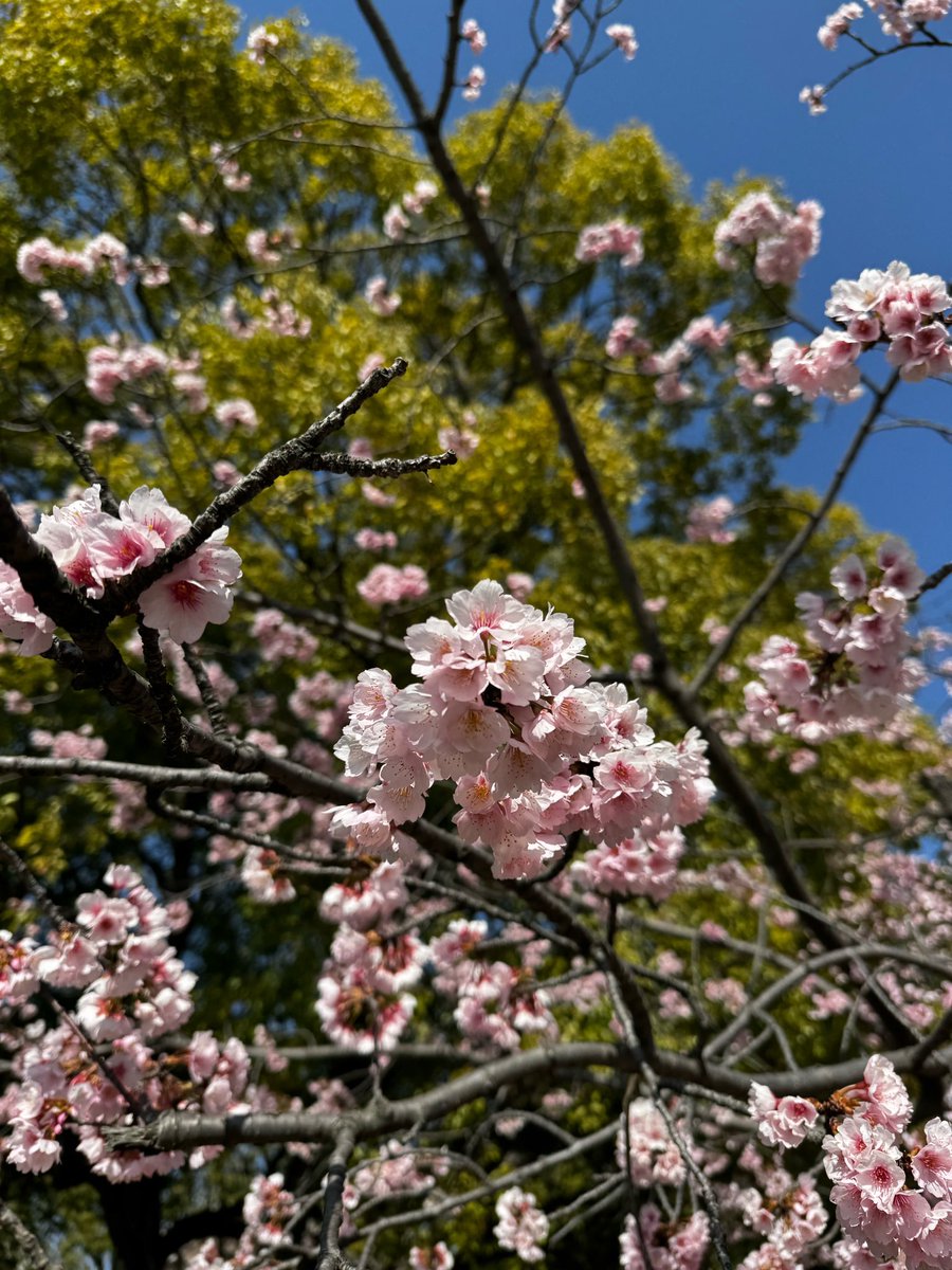 𝑵𝑶𝑵𝑨𝑴𝑬⁶⁵ tweet media