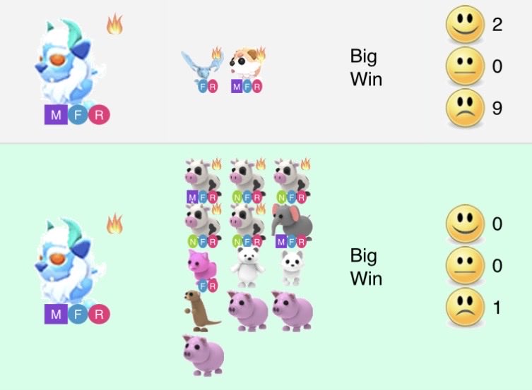 Lynn Strozinsky tweet media