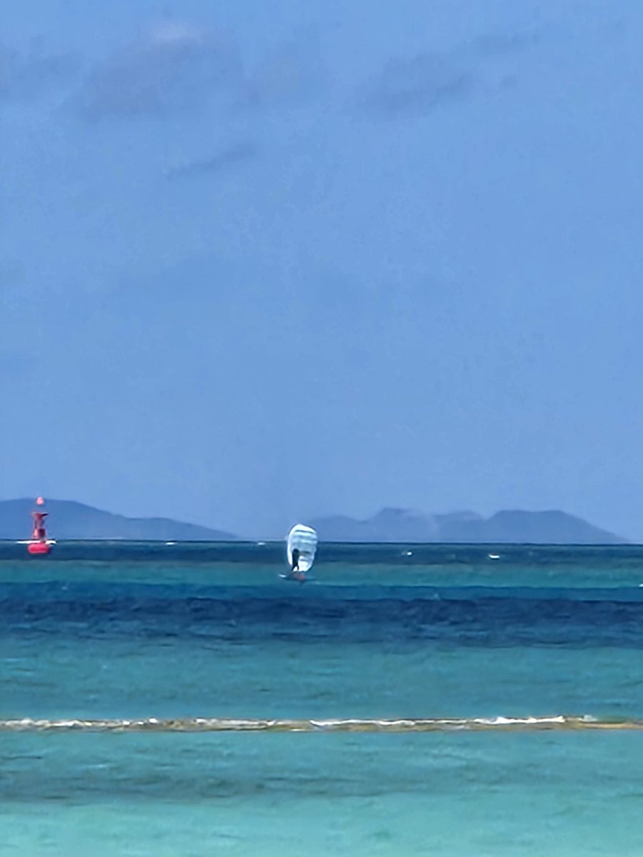 ハイハンブル tweet media