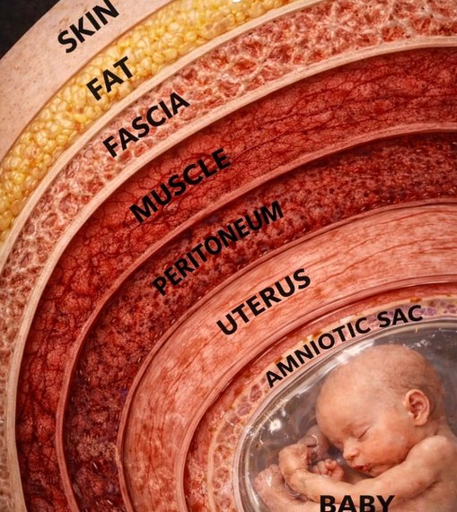 LifeNews.com tweet media