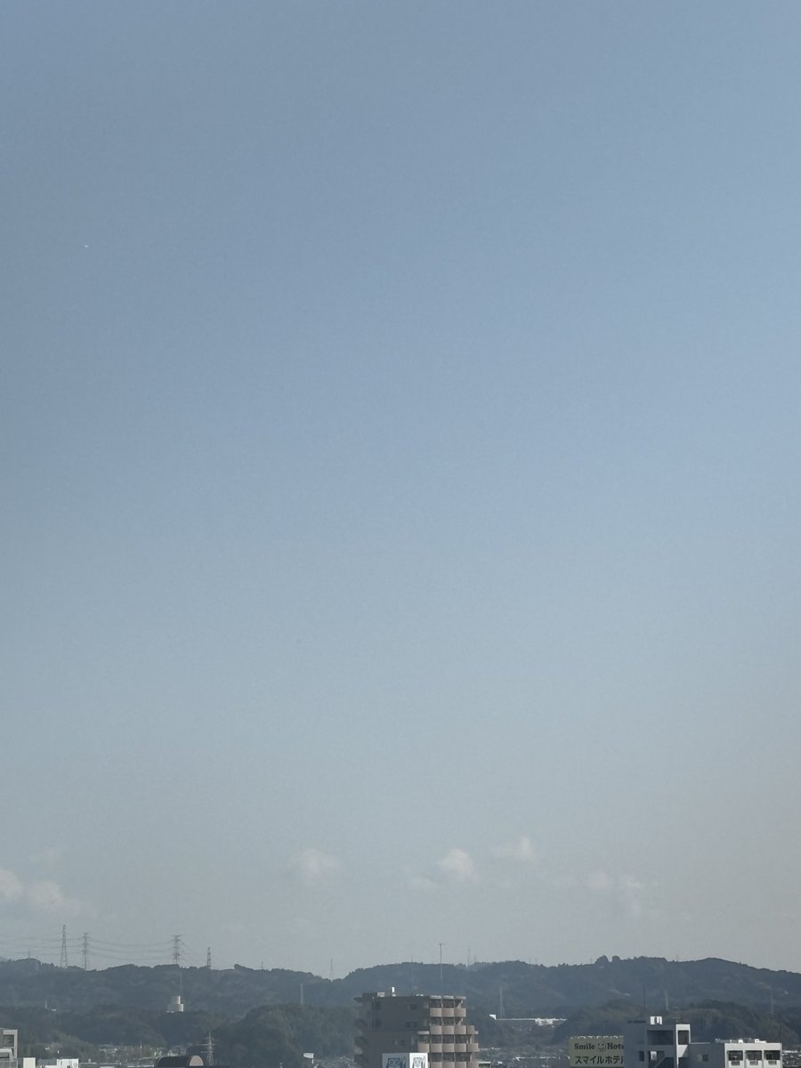 まっ茶ちん(ラガー)すぐ寝る課 tweet media