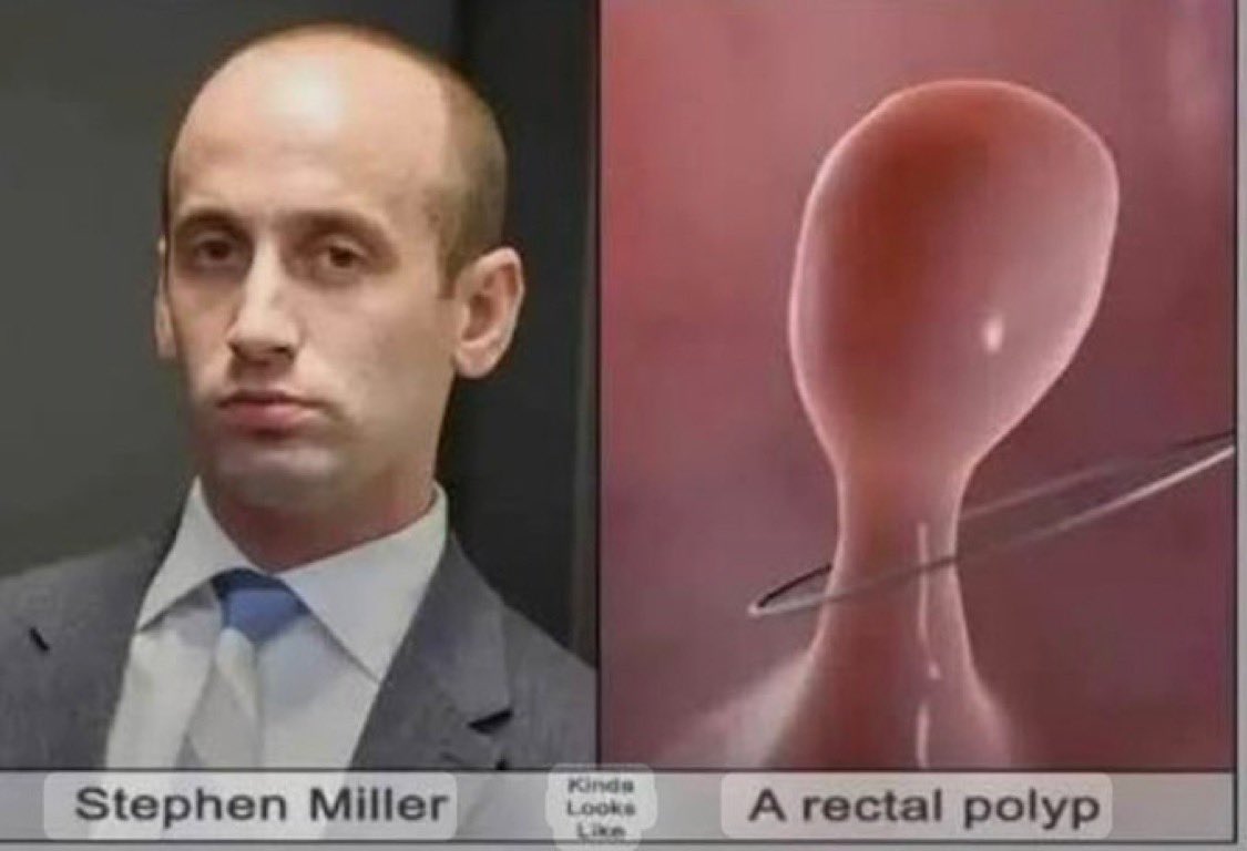 Imperator Furiosa💁🏼‍♀️ tweet media