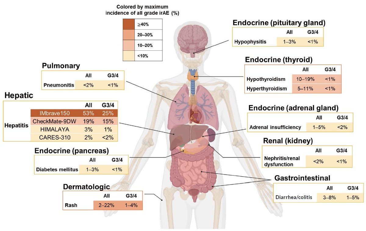 Hong Jae Chon tweet media