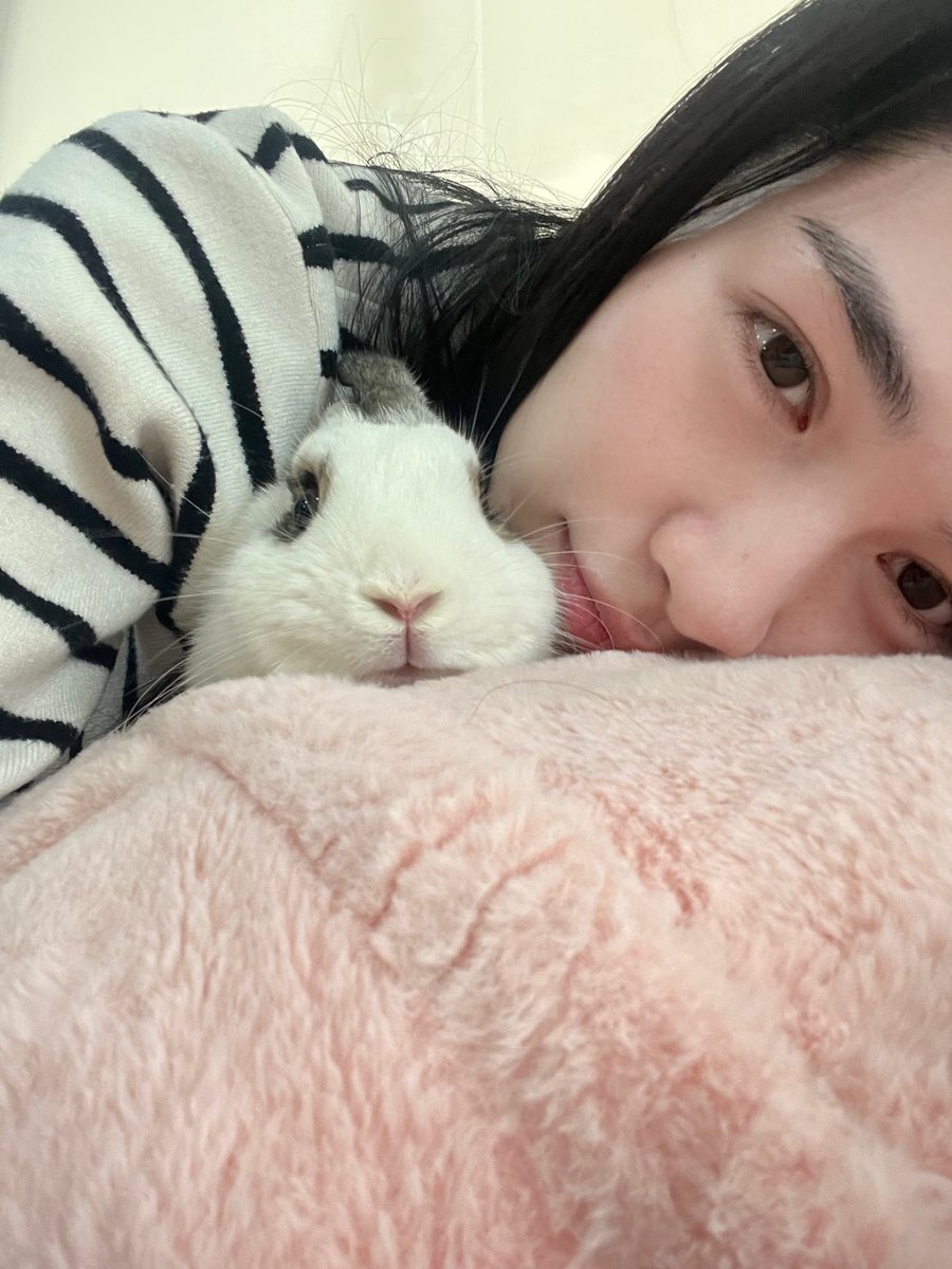 ออย ฉึกฉึก ⁠♡🐰🐶⁠♡ tweet media