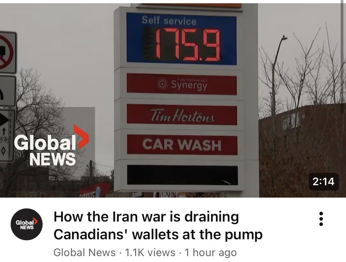 კაია 🦕 tweet media