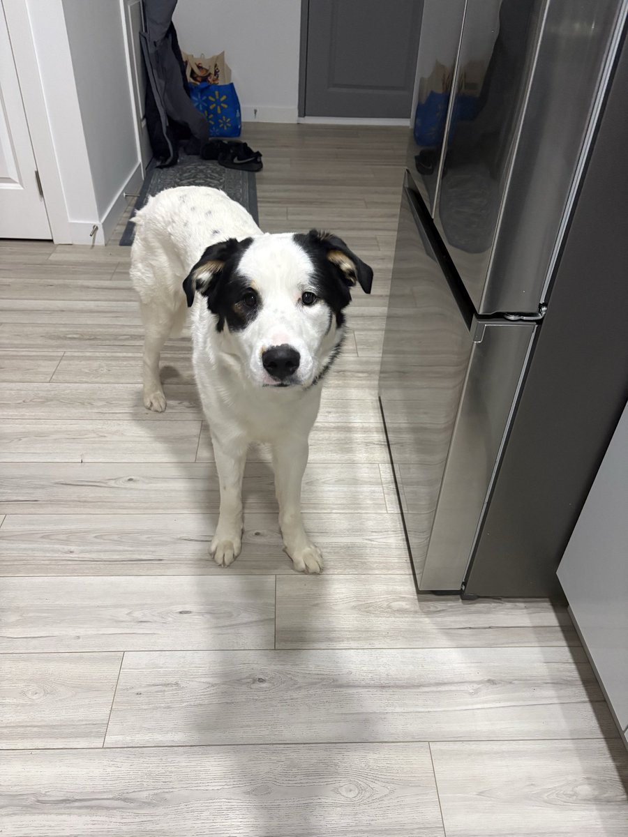 🇨🇦 WalmanFan92 🇨🇦 tweet media