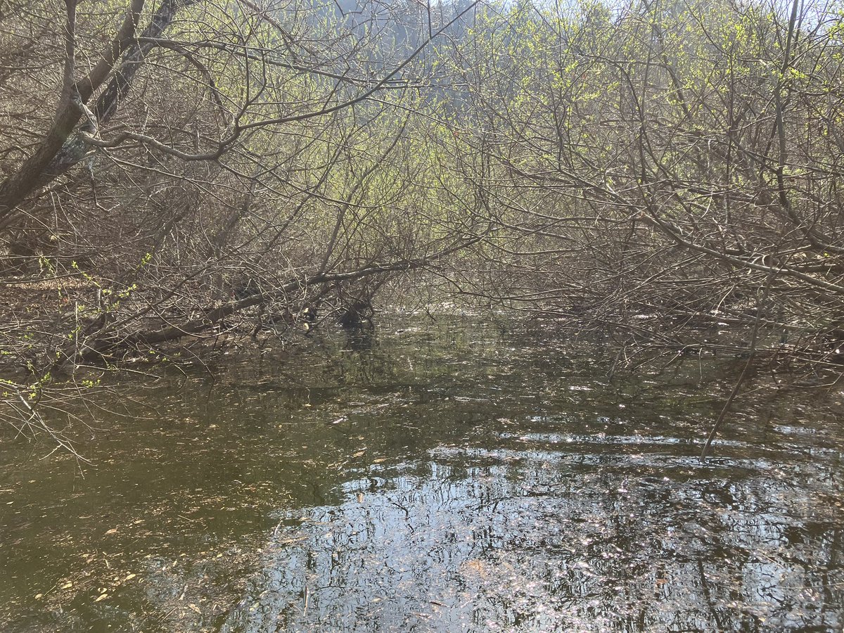 ログイン勢Y田 tweet media