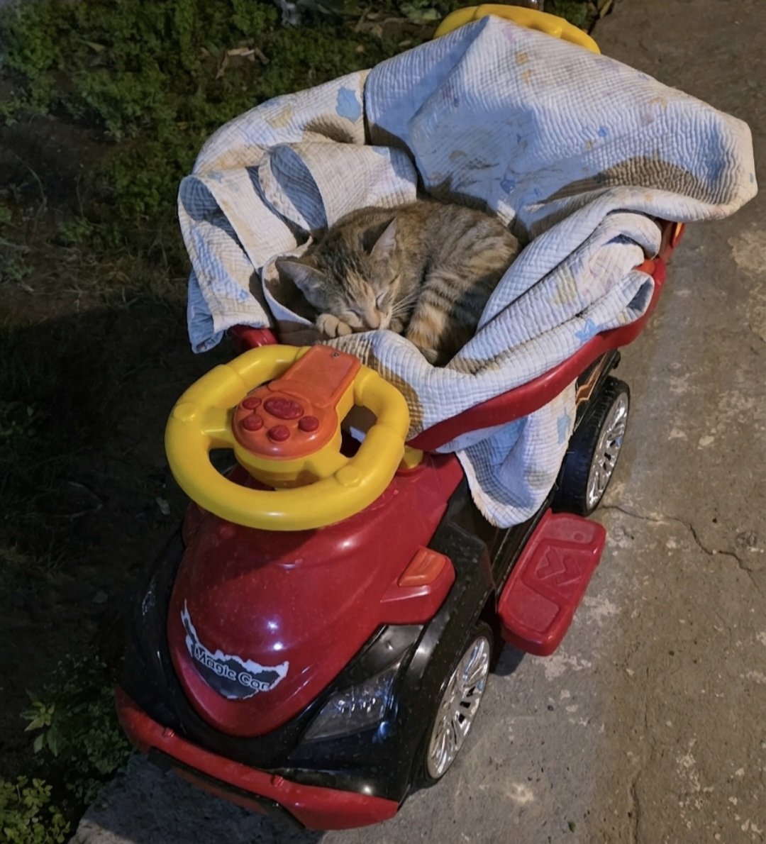 شُعَيب 🇮🇶 tweet media